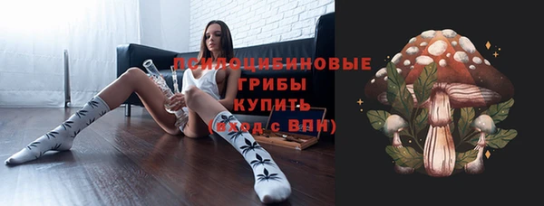 кокс Алексин