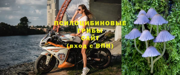 спиды Алзамай