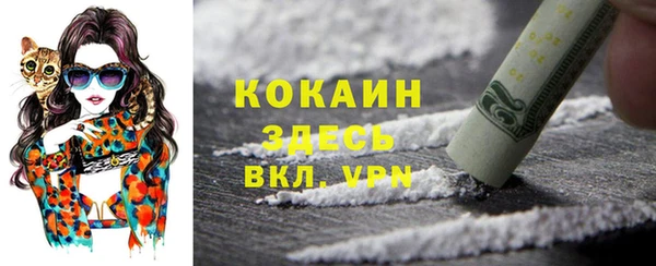 спиды Алзамай