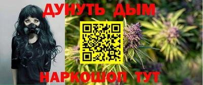 прущие грибы Лесосибирск