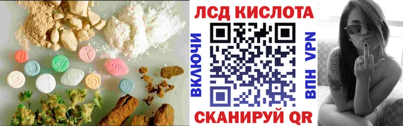 LSD-25 экстази кислота  нарко площадка как зайти  Волхов 