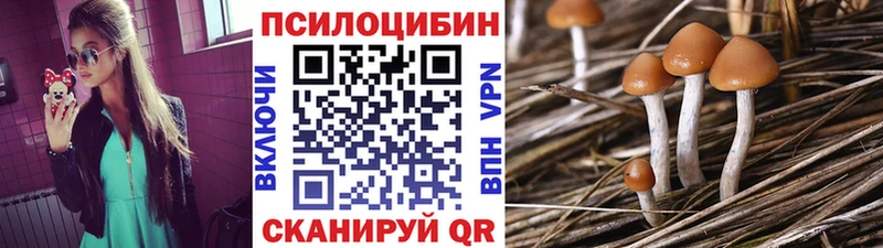 Псилоцибиновые грибы ЛСД  Волхов 
